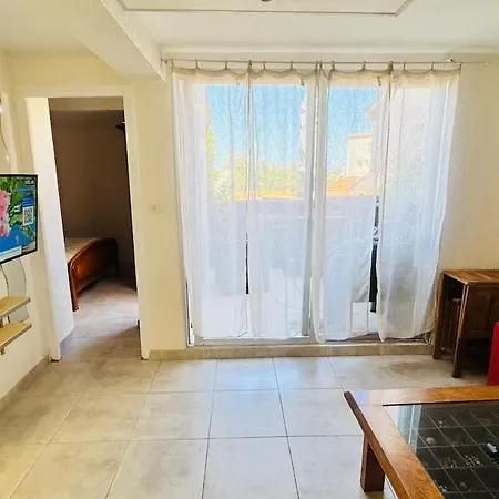 Grand Avec Terrasse A 50m De La Appartement Agde